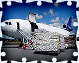 Air Freight